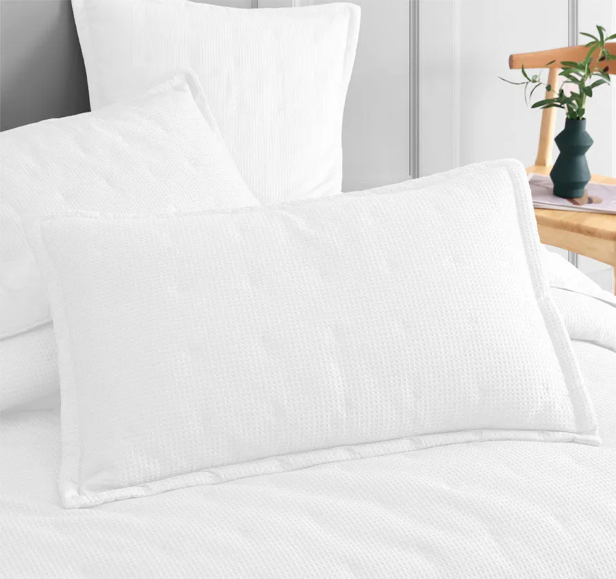 Ascot Standard Pillowsham Pair White