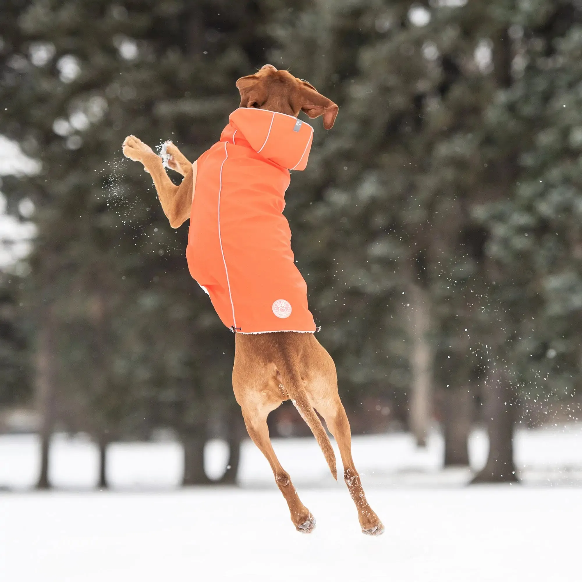 Insulated Dog Raincoat, Reflective Piping, Sherpa Lining - Orange