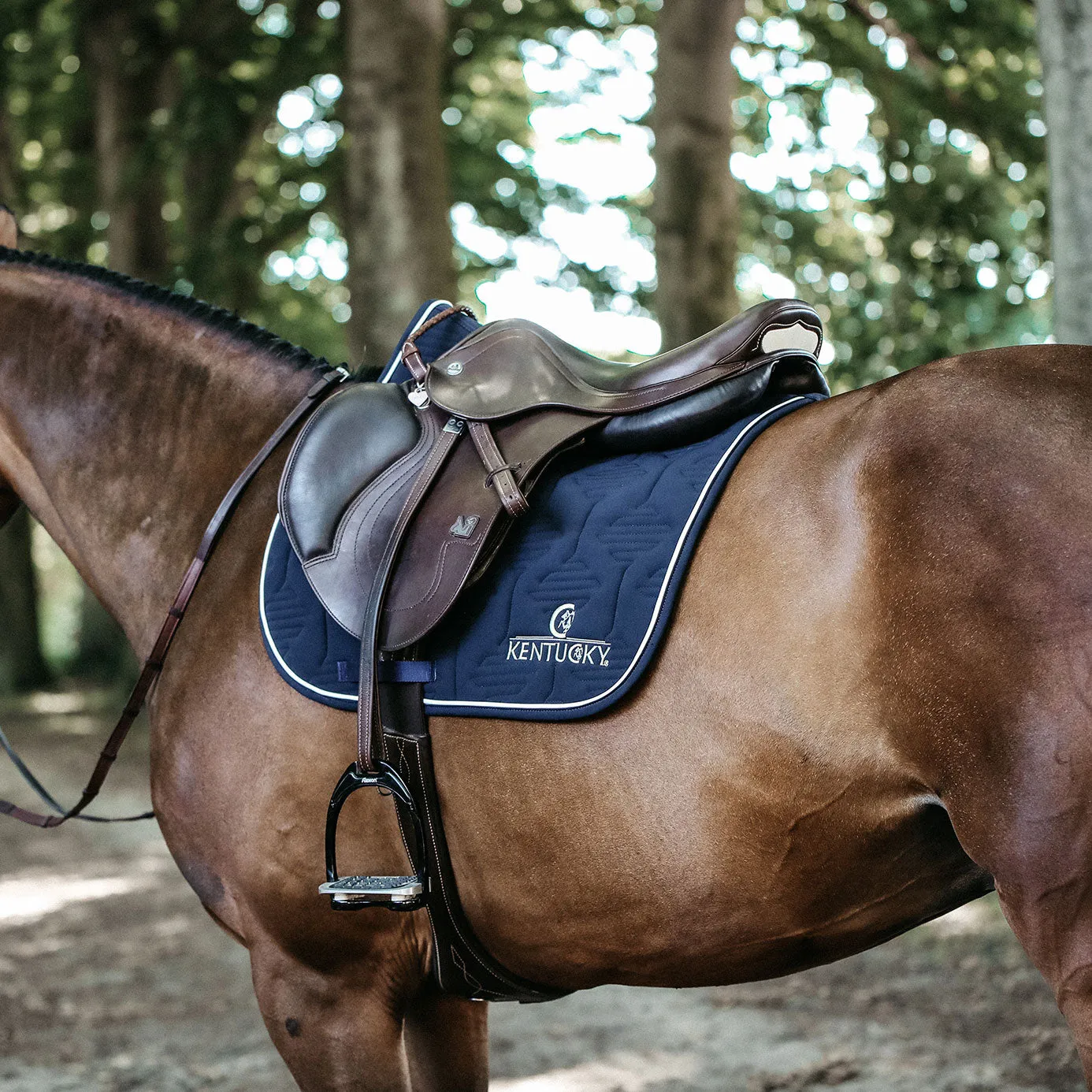 Kentucky Horsewear Colour Edition Jumping Saddle Cloth with Logo - Navy