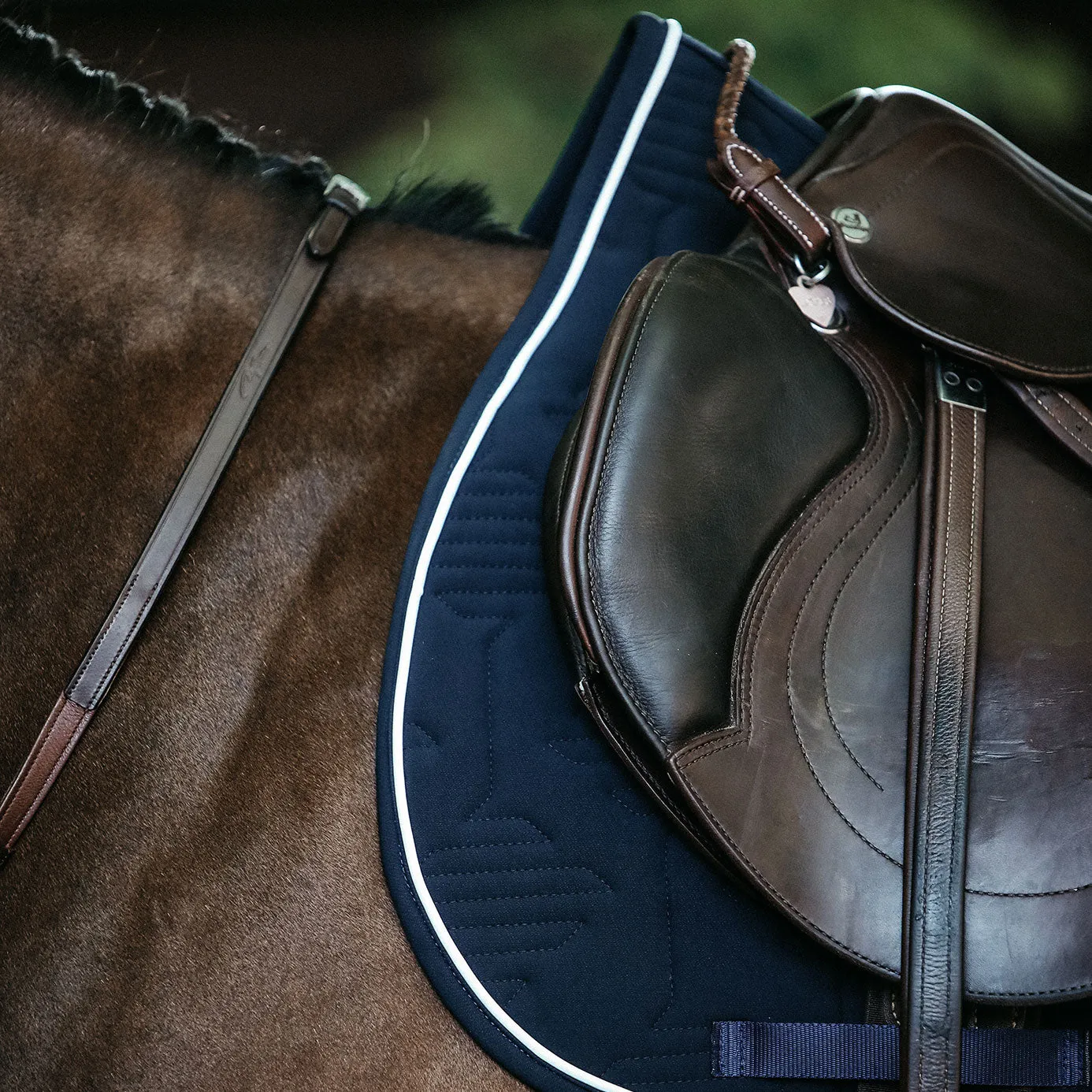 Kentucky Horsewear Colour Edition Jumping Saddle Cloth with Logo - Navy