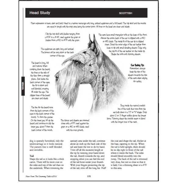 Notes from the Grooming Table - Second Edition