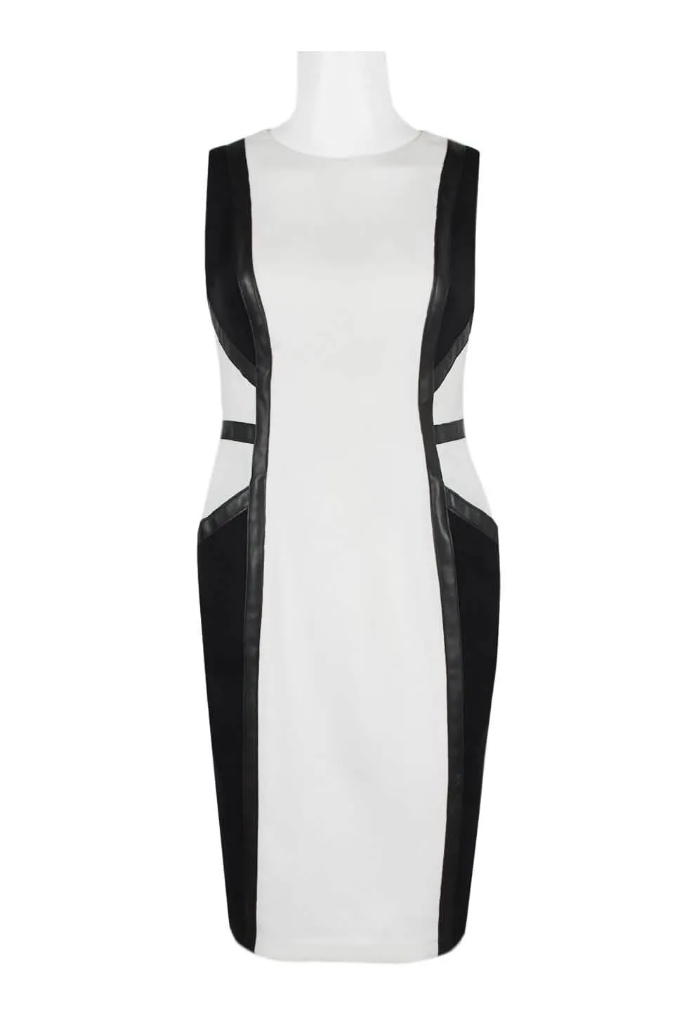 Taylor Sophisticated Sleeveless Dress with Back Zipper and Functional Pockets