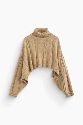 Turtle Neck Cape Sleeve Knit Crop Top